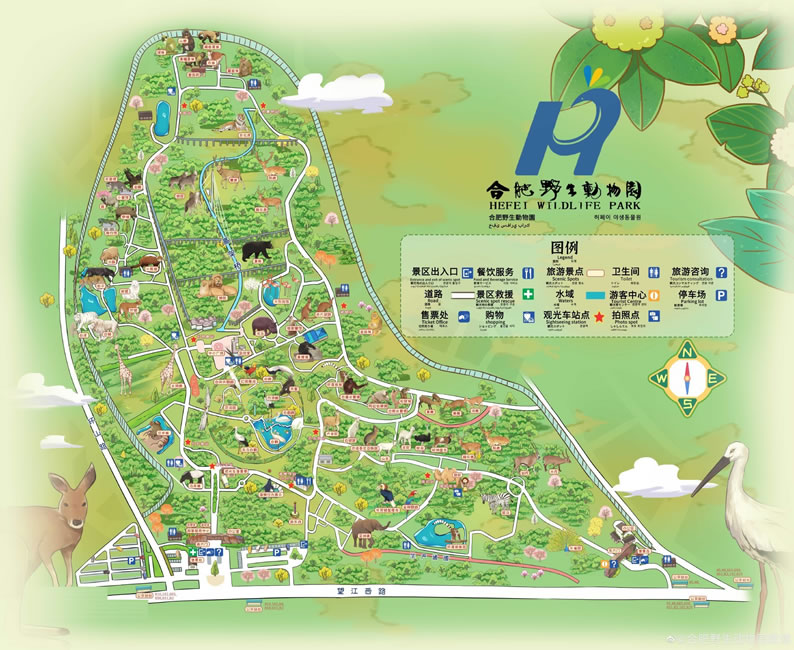 合肥野生動物園導游圖