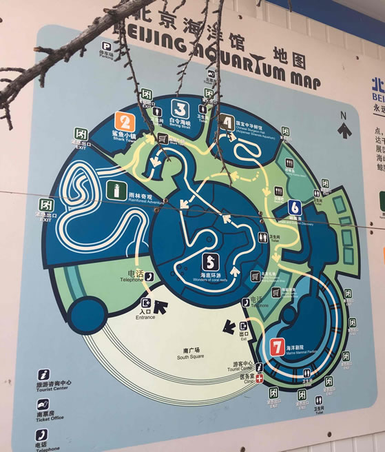 北京海洋館導(dǎo)覽圖