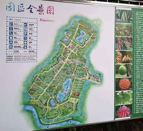 興隆熱帶植物園導(dǎo)游圖