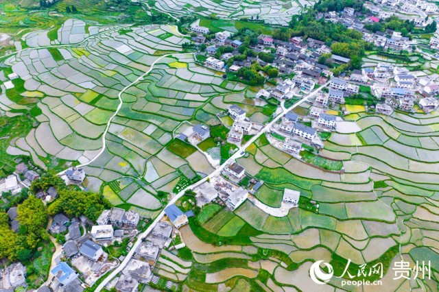 FлϪ^(q)W(wng)ӛ Ϳz