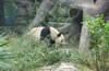 北京動物園
