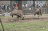 北京動物園