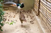 北京動物園