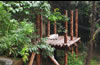 北京動物園