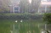 北京動物園
