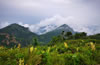 駝梁山