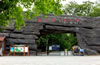 合肥野生動物園