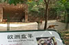 合肥野生動物園