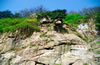 泰山