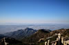 泰山