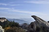 泰山