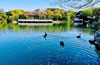 無(wú)錫蠡園